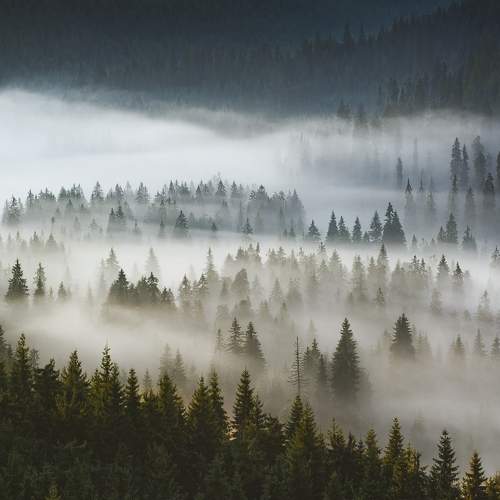 Preview Photographer\'s photo Stefan Chirobocea