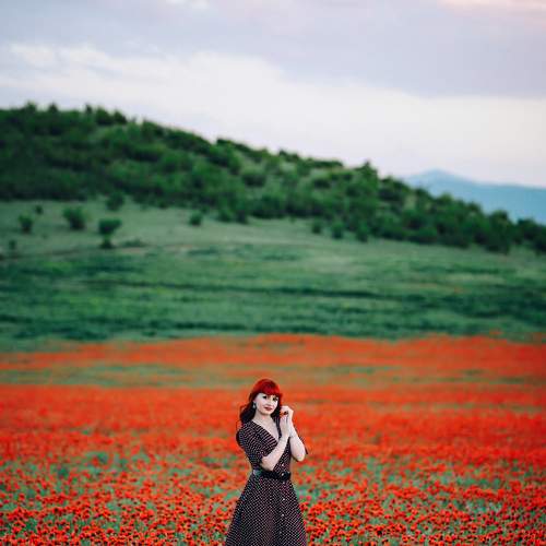 Превью фотографии фотографа solomnishvili giorgi