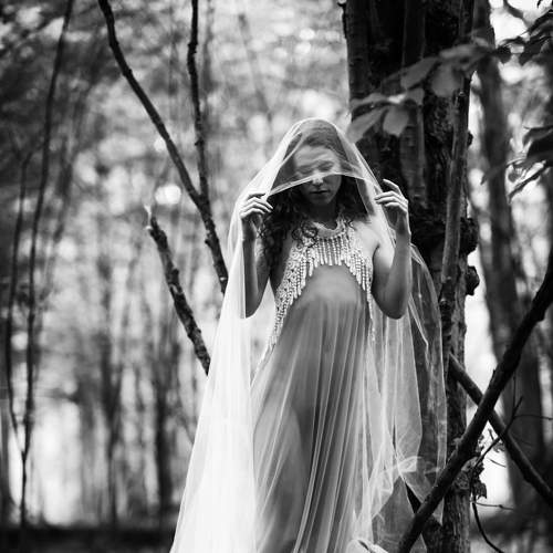 Превью фотографии фотографа Gerald Johnson