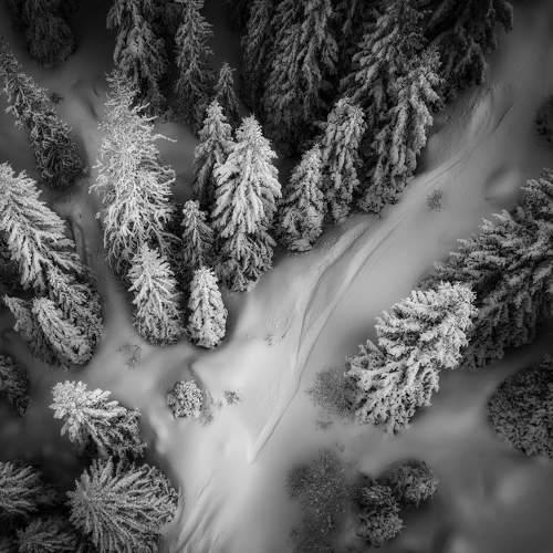 Превью фотографии фотографа Radoslav Sviretsov