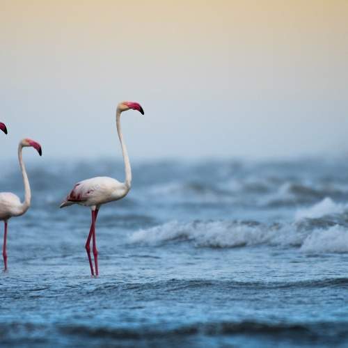 Превью фотографии фотографа parth kansara