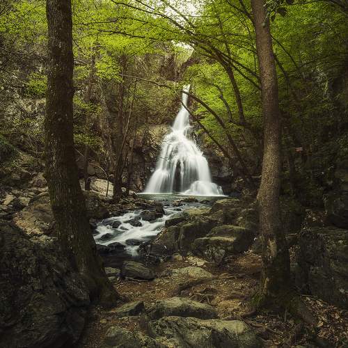 Превью фотографии фотографа Махмуд Хамда