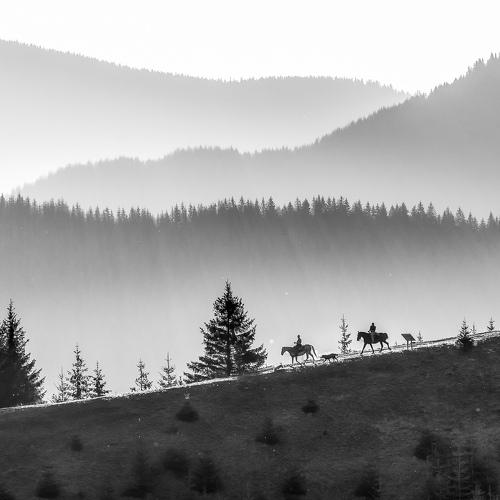 Превью фотографии фотографа Ioan Chiriac