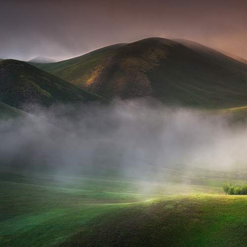 Preview Photographer\'s photo Татьяна Бирюкова