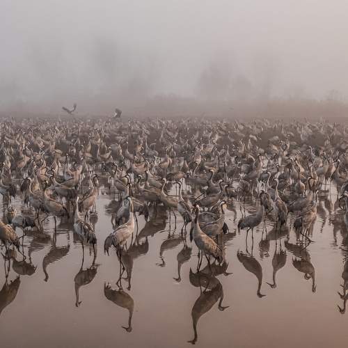 Превью фотографии фотографа Григорий Крамаренко