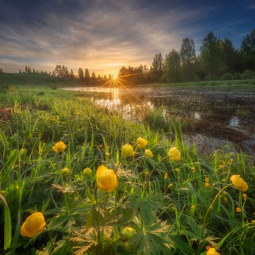 Превью фотографии фотографа Марголин Алексей