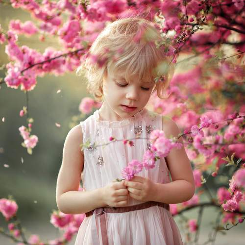 Nikopol fohishalarining fotosuratlari