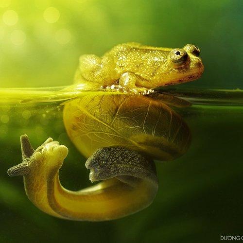 Preview Photographer\'s photo duong quoc dinh