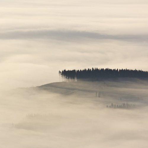 Превью фотографии фотографа Александр Подрез