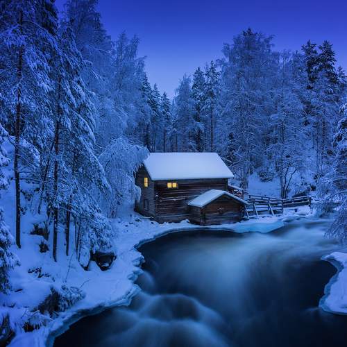 Превью фотографии фотографа Лариса Дука