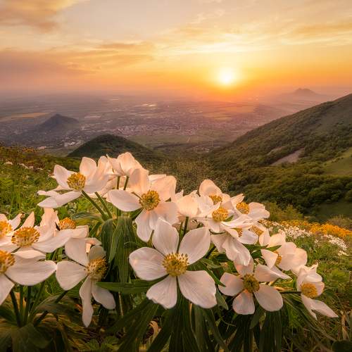 Превью фотографии фотографа Сергей Алтушкин