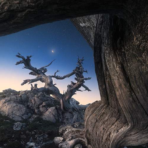 Preview Photographer\'s photo Roksolyana Hilevych