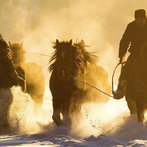 Preview Photographer\'s photo hong seungpyo