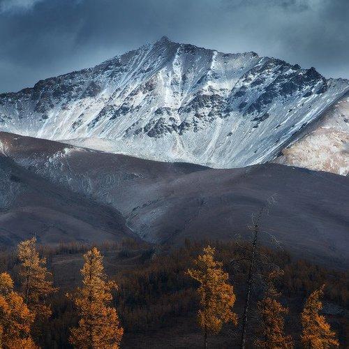Превью фотографии фотографа Евгений Мартов