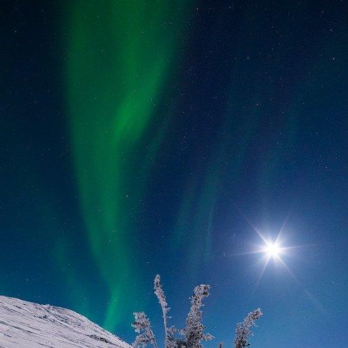 Preview Photographer\'s photo Сергей Малинин