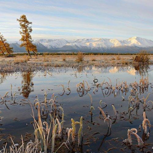 Превью фотографии фотографа Константин Белошапкин