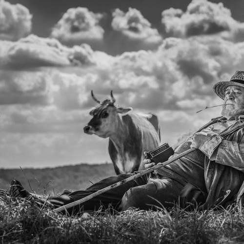 Превью фотографии фотографа Karamazov Vladimir