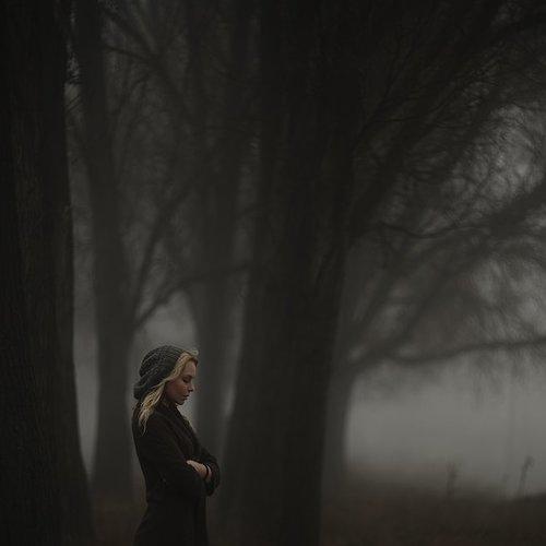 Preview Photographer\'s photo Dubnitskiy David