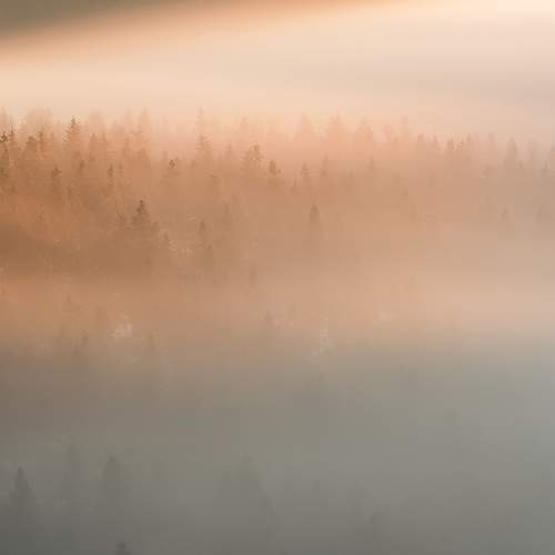 Превью фотографии фотографа Petr Fiala