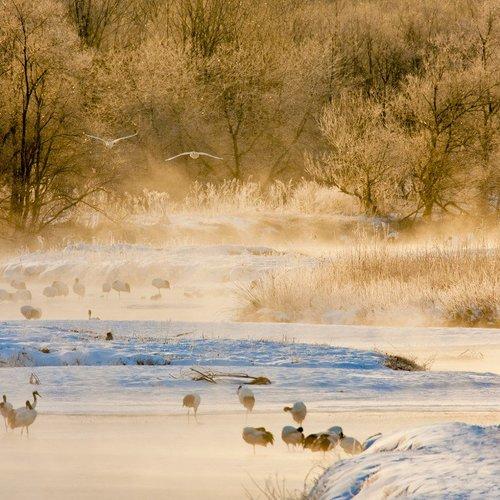 Preview Photographer\'s photo CHO HYUNG JAE