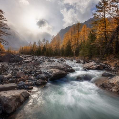 Превью фотографии фотографа Марголин Алексей