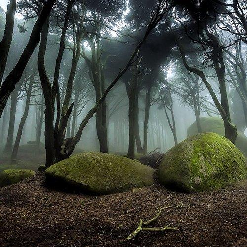 Preview Photographer\'s photo Paulo Mendonça