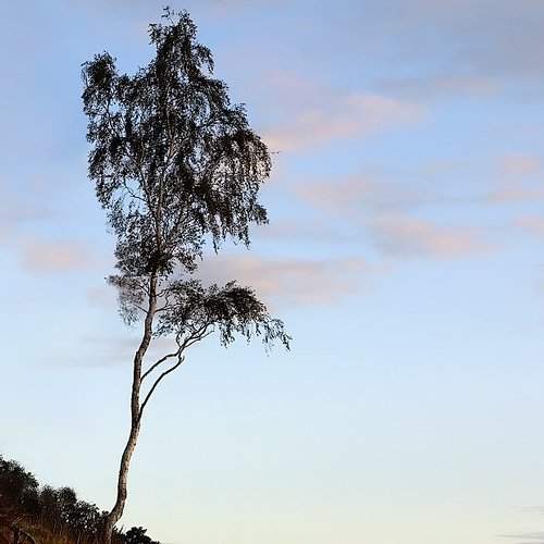 Preview Photographer\'s photo Vidas Daukantas