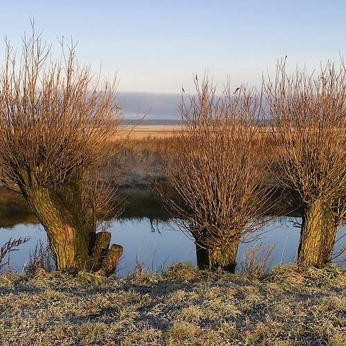 Preview Photographer\'s photo Vidas Daukantas