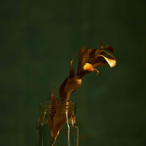 Превью фотографии фотографа Андрей Болдышев