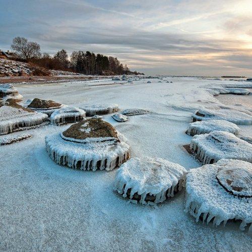 Превью фотографии фотографа normiks