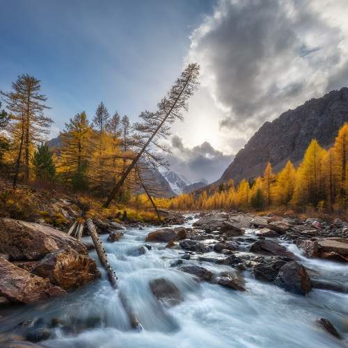 Превью фотографии фотографа Марголин Алексей
