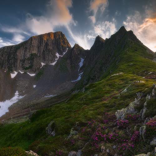 Preview Photographer\'s photo Csomai David