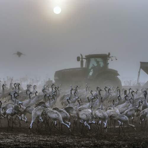 Превью фотографии фотографа Булкина Валентина