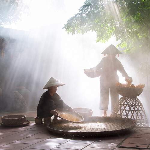 Preview Photographer\'s photo Thang Hoang Tat