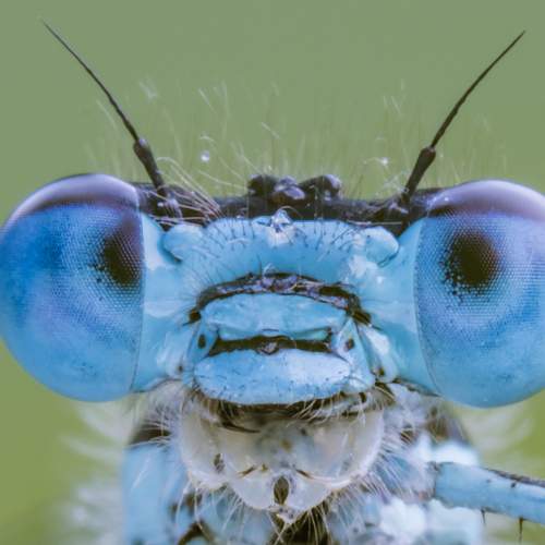 Preview Photographer\'s photo Massimo Tamajo