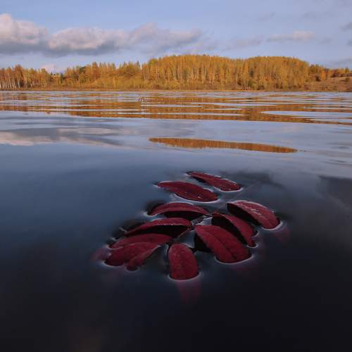 Preview Photographer\'s photo Юрий Яковлев