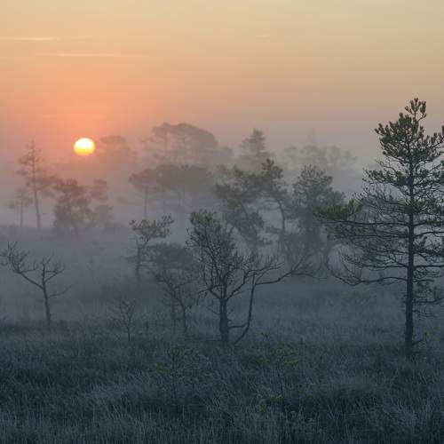 Превью фотографии фотографа Aleksandr