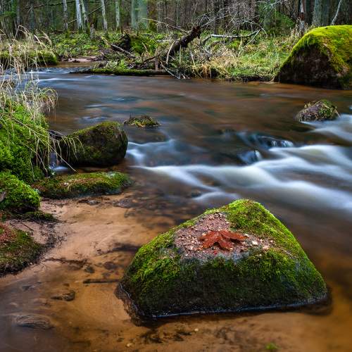 Превью фотографии фотографа Karlis Keisters