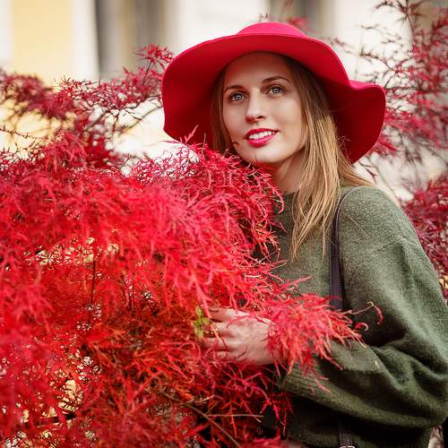 Превью фотографии фотографа Михаил Маслов