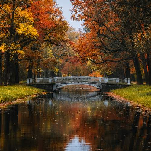 Preview Photographer\'s photo Майя Афзаал