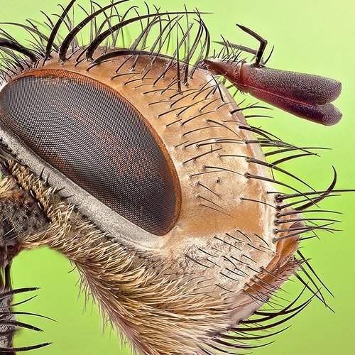 Preview Photographer\'s photo regayip