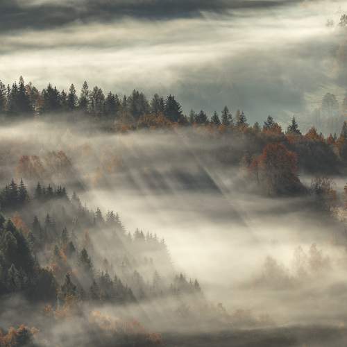 Превью фотографии фотографа Iza i Darek Mitręga