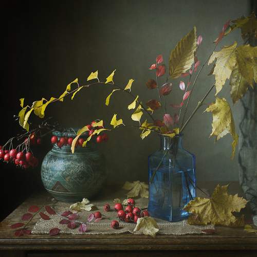 Превью фотографии фотографа Georg Stein