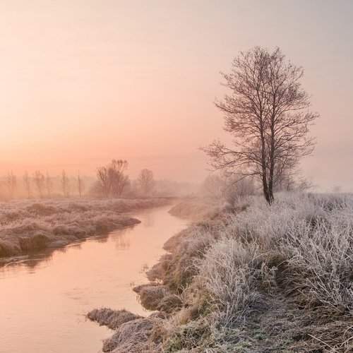 Превью фотографии фотографа Katarzyna Gritzmann