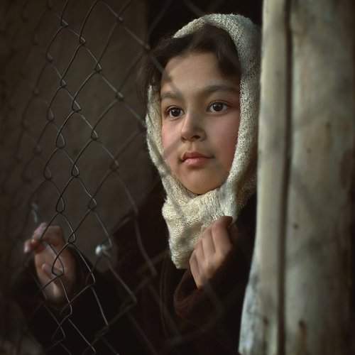 Preview Photographer\'s photo тимур-тень