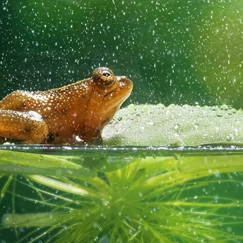 Preview Photographer\'s photo Kelvin