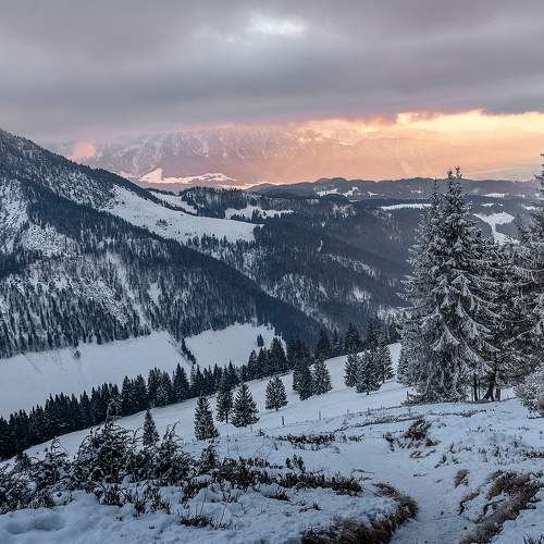 Preview Photographer\'s photo Олег Мильбергер