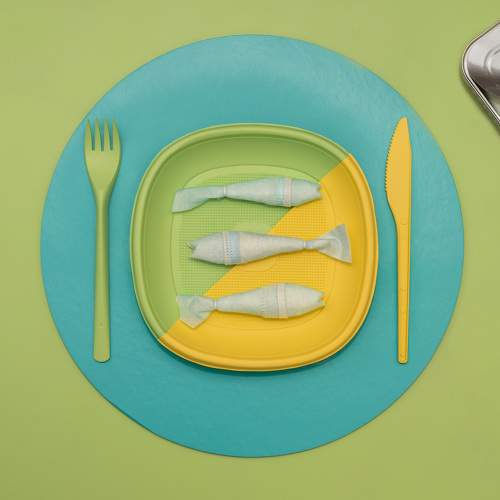 Preview Photographer\'s photo Antonio Coelho