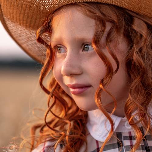 Превью фотографии фотографа Andrew Bear