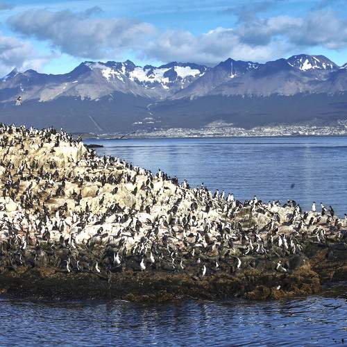 Preview Photographer\'s photo akmal